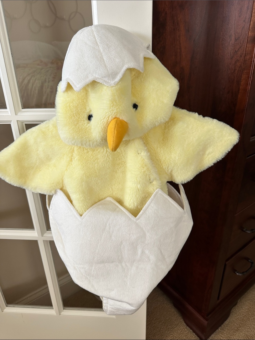 Pottery Barn Yellow Chick Egg Costume